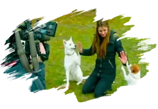 Svenja Wiechert - Hundertrainerin &amp; Coach Kynocanis Berlin