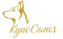 KynoCanis – Hundeschule Berlin für Hund & Mensch