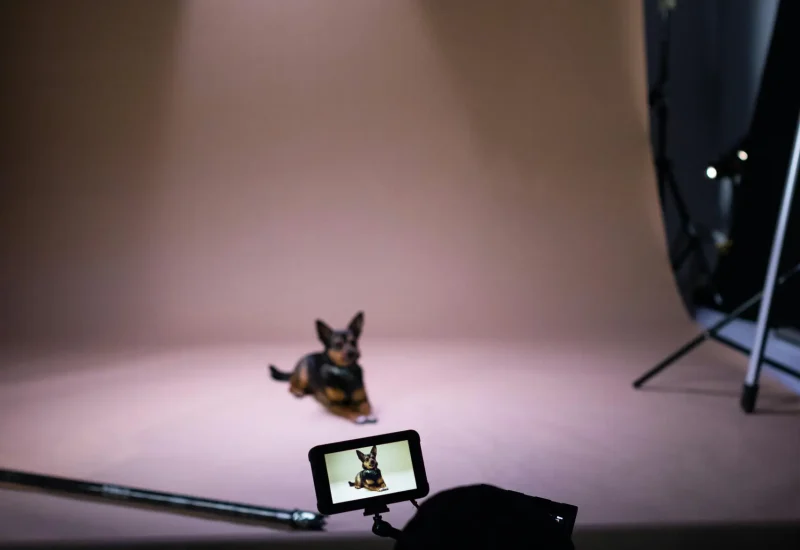 pexels-koolshooters-7682526